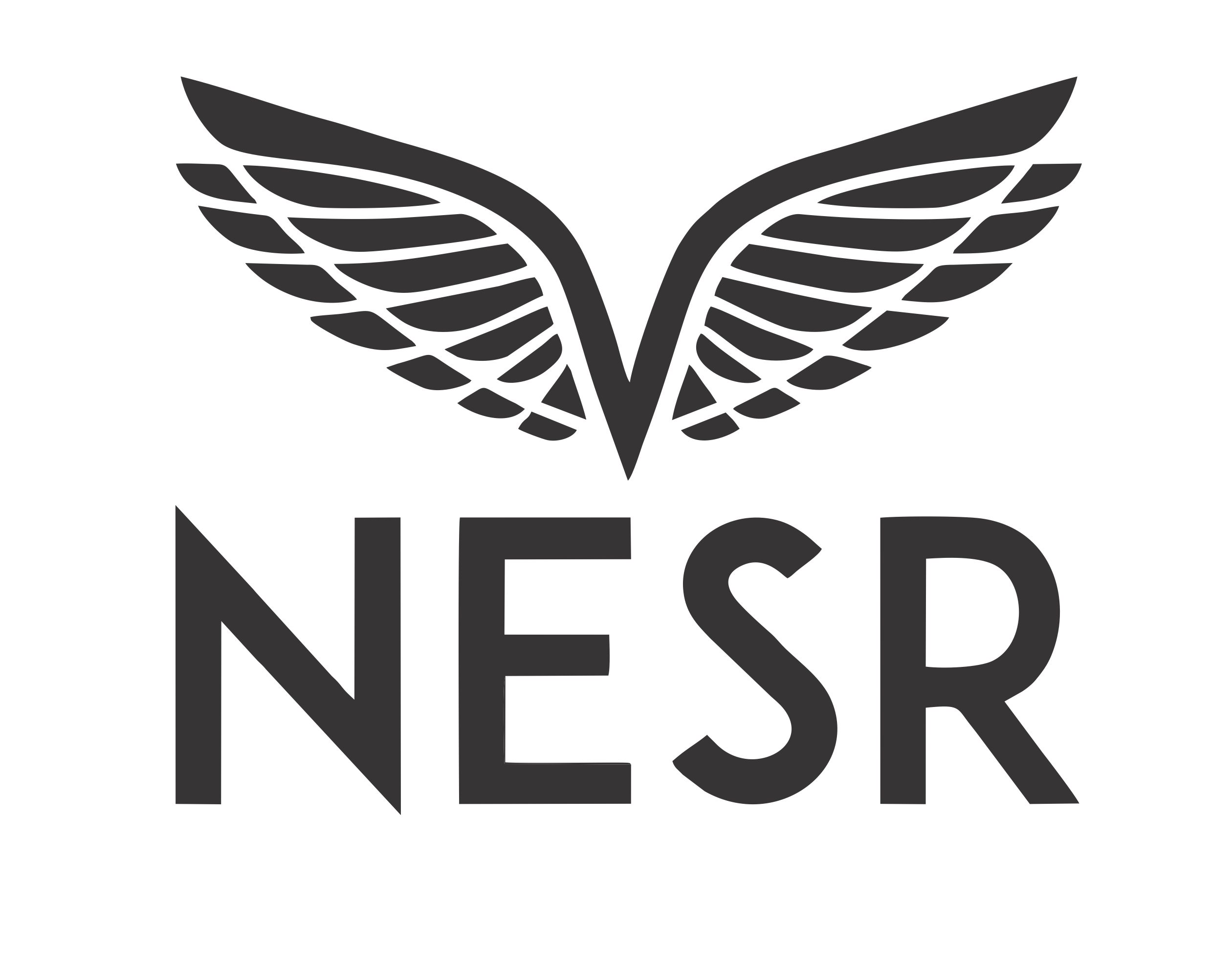 NESR